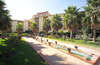 Sol Don Pablo 